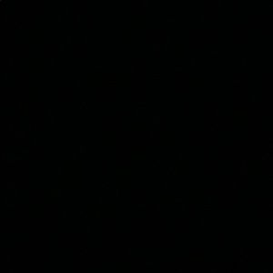 Meet your Posher, Neesa